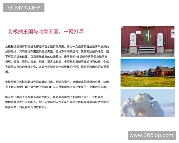 探索奥蓬达的魅力与文化深度，揭示其在当代社会中的重要性与影响力