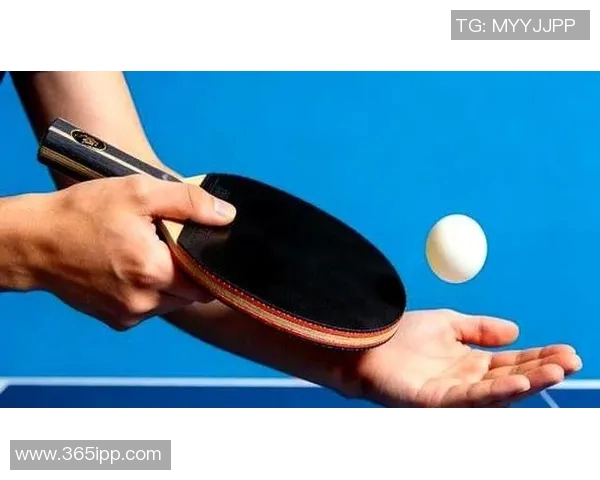 从零起步掌握乒乓球技巧全解析助你成为乒乓球高手的必备指南