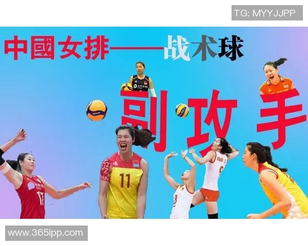 上海排球队总决赛战术解析与表现评估的深度分析